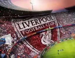 足球的情人节,足球情人节特别篇