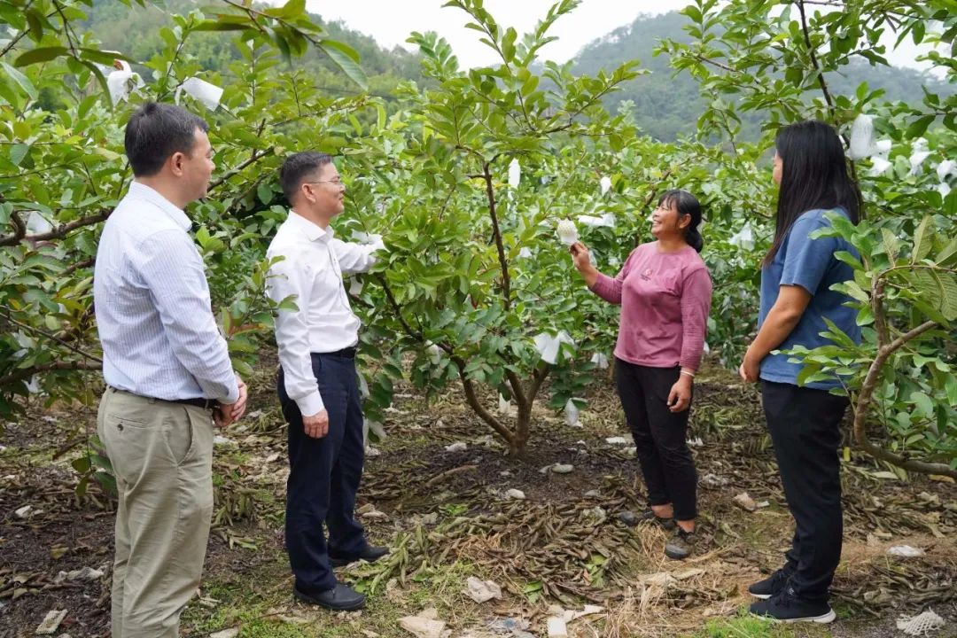 郁南千官镇乡村振兴,郁南县千官镇现任镇委书记