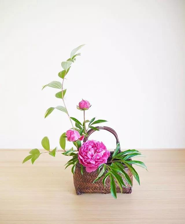 一花一世界一叶一菩提本来无一物,一花一世界一叶一菩提一场梦