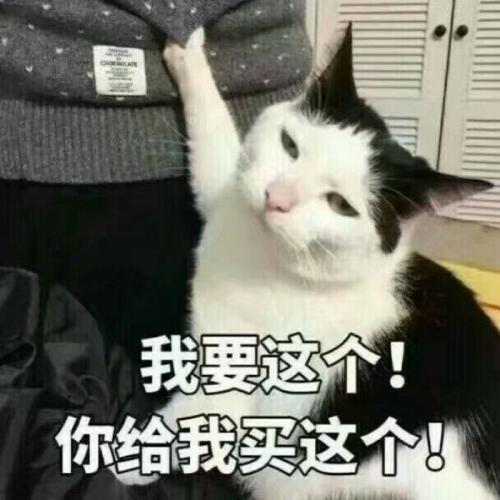 如果你想让某人做某事，这里给出了两种方法