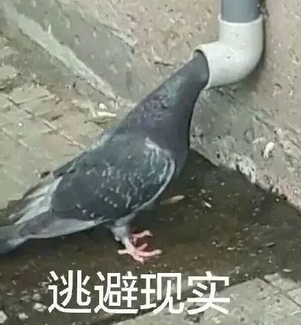 泳池里有“小蝌蚪”，女生潜水会怀孕吗？