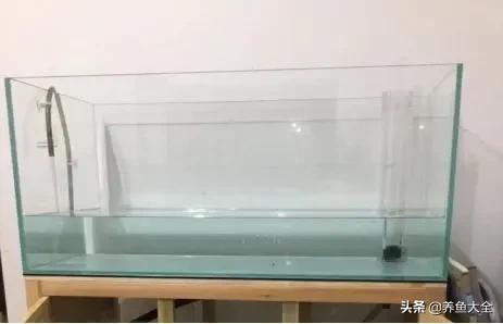 自制生态鱼缸循环系统,自制鱼缸底滤视频教程