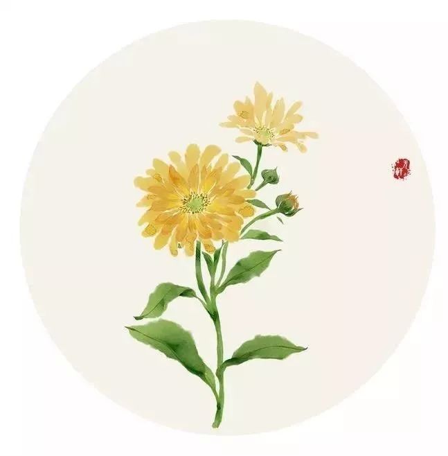 你的名字藏着最美诗句,你的名字里藏着最美的诗词