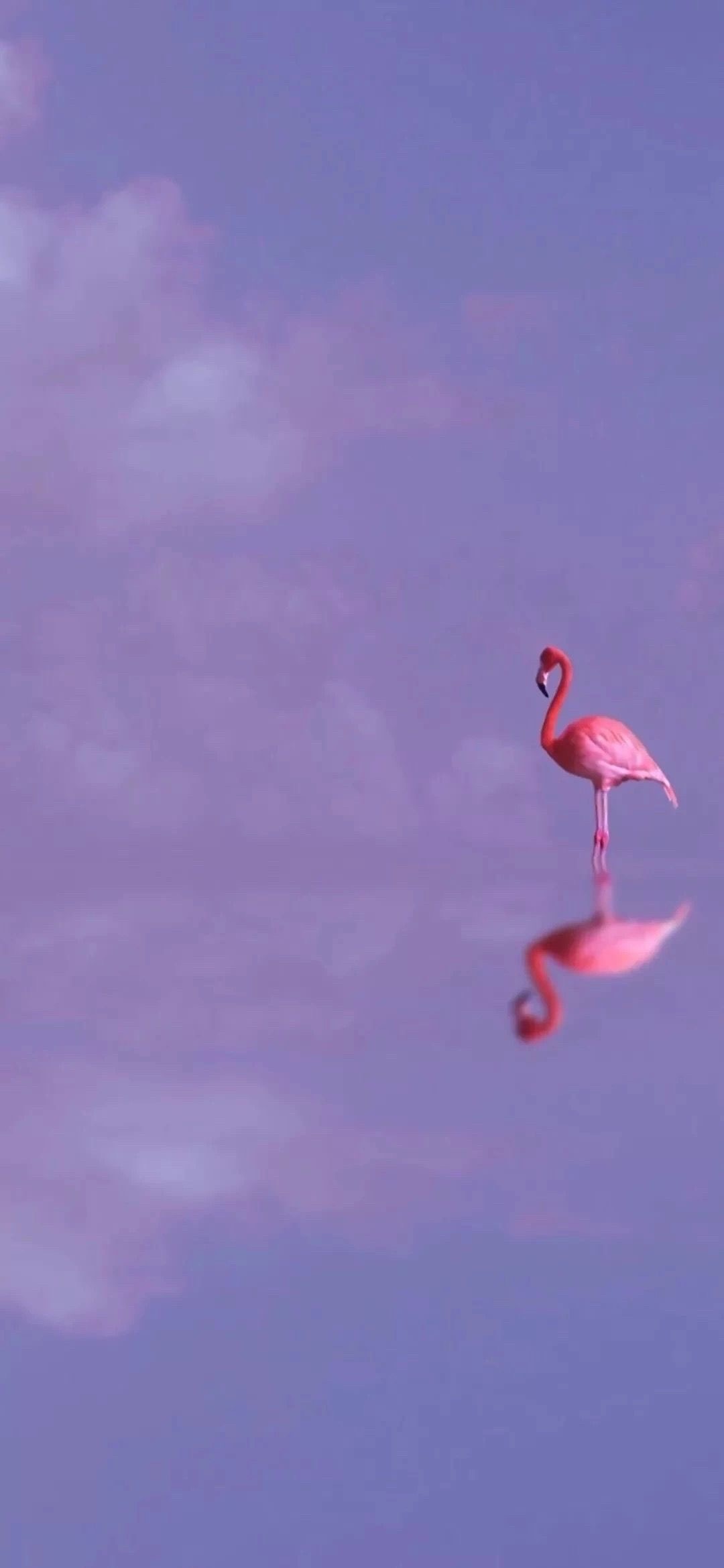 好看的微信聊天背景图男生,微信聊天背景图超清苹果