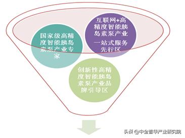 胰岛素泵新技术新项目申报名称,胰岛素泵生产计划书