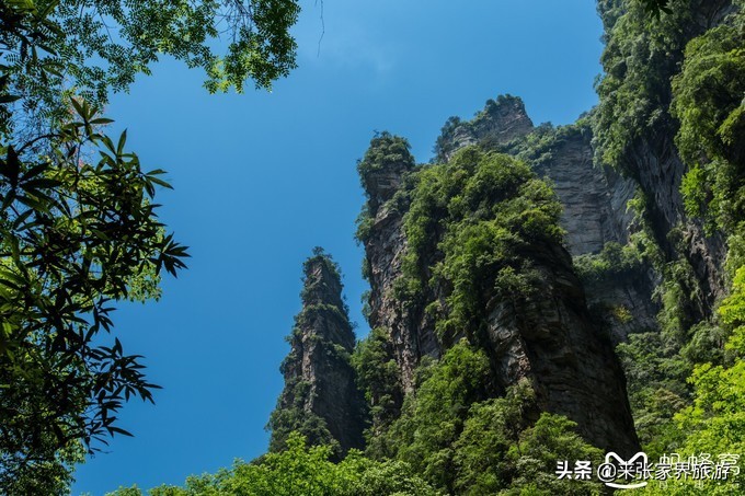 张家界武陵源天门山三日游团购,天门山森林公园张家界自由行攻略