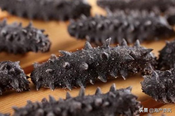 加拿大海参开袋即食,加拿大海参专卖店