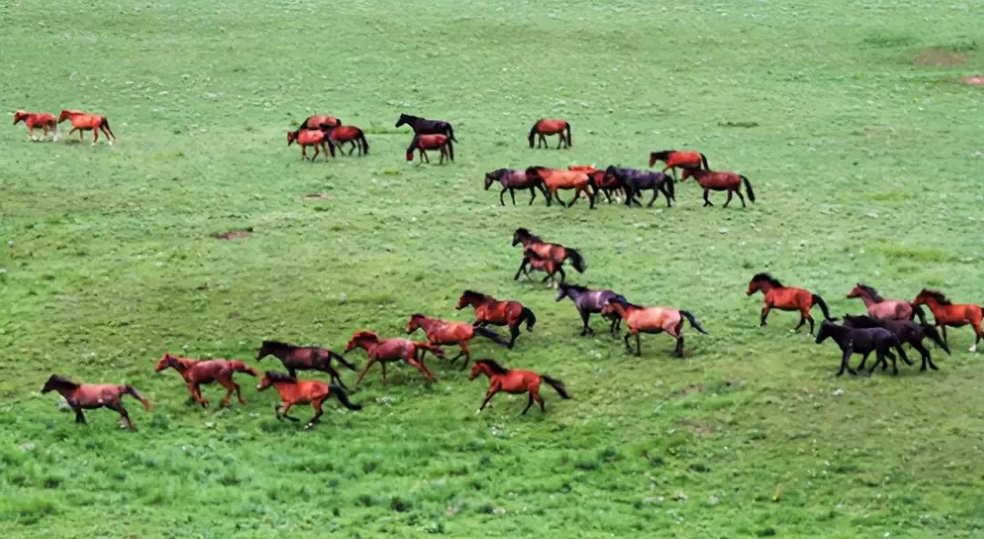 清朝末代王爷，宁摆地摊也不*国卖**，毛主席：安排他当个“弼马瘟”
