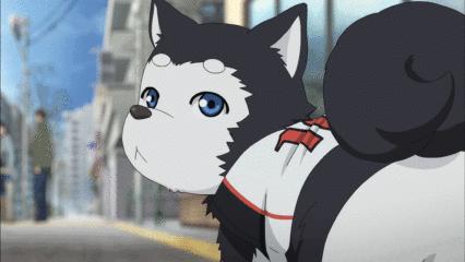 wc表达的是什么意思,美国的wc是什么意思