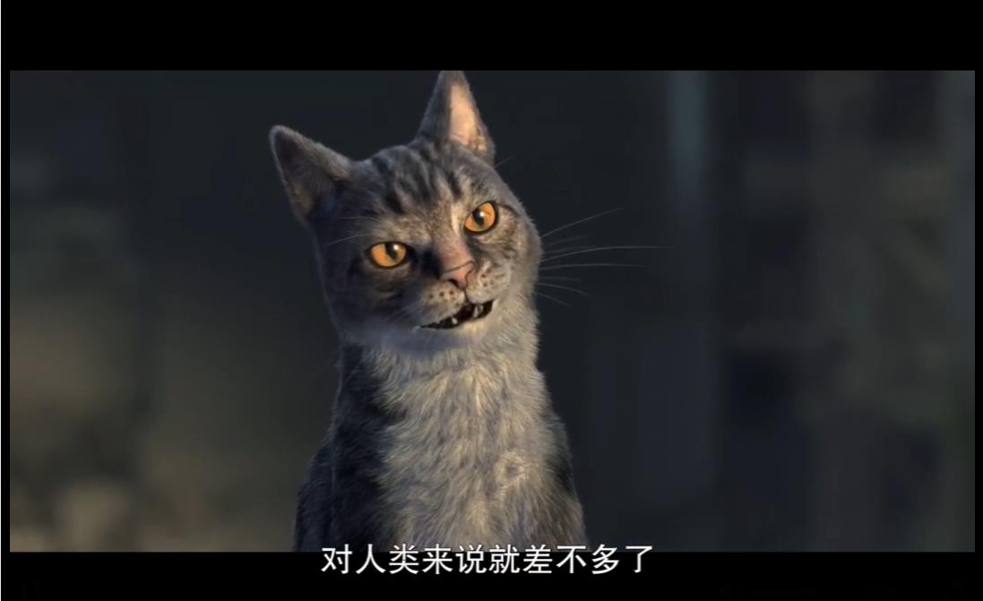 喵星人成功统治了地球,喵星人统治地球插画