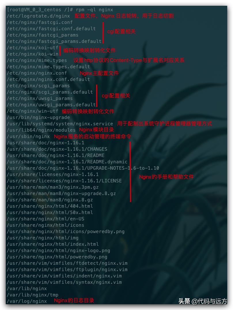 nginx零基础到入门,nginx基础知识讲解