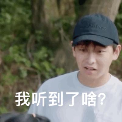 《向往5》搞事情，张艺兴意外遇见吴亦凡？彭昱畅秒变八卦脸