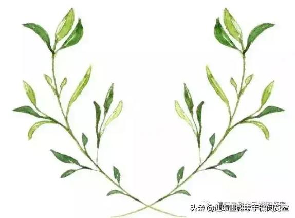 五笔输入法拼音,五笔输入法在word打字不显示