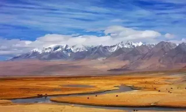 新疆喀什到巴基斯坦需要怎么过去,喀什通巴基斯坦公路