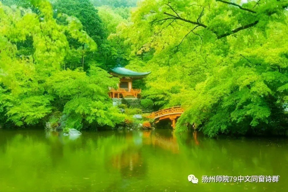 【老师去了，我每年来摩挲老师家的杨柳】