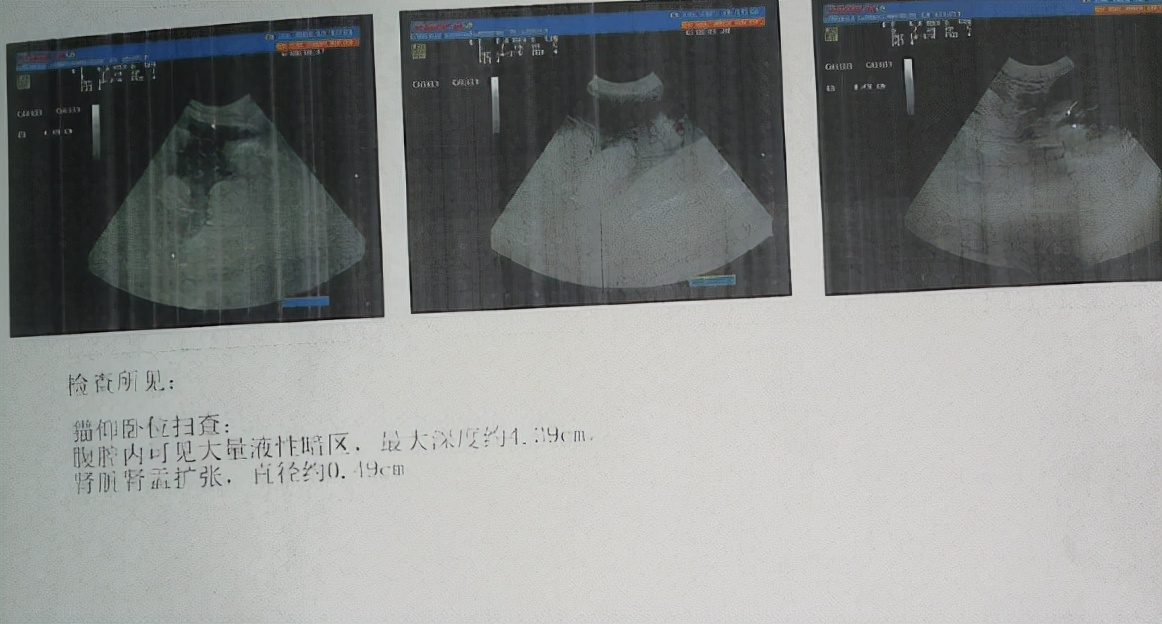 猫咪到底为什么绝育后还会发情呢？