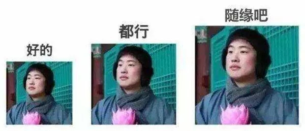 2017年十大流行语中文英文版,2016年网络十大流行语双语