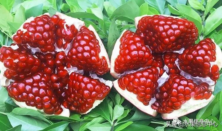 在网上买水果有哪些坑,在网上买水果划算吗