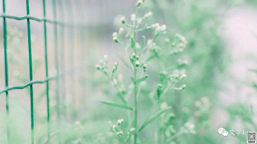 充满意义的高质量文案,高质量有深度的文案