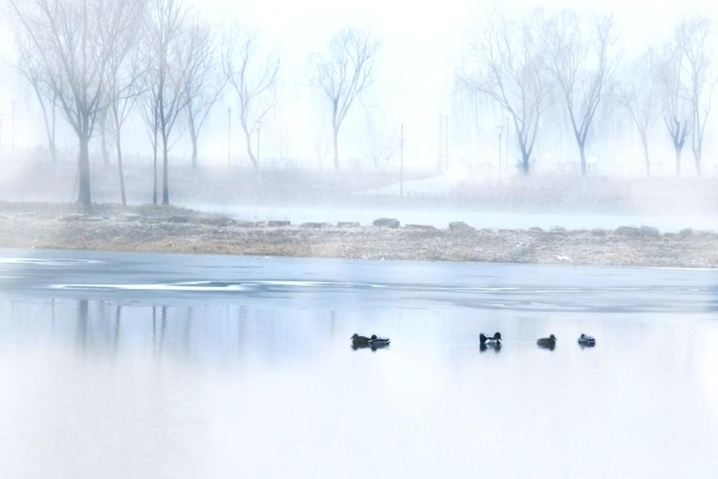 蓦然回首已是二十年美文,岁月无痕蓦然回首的美文