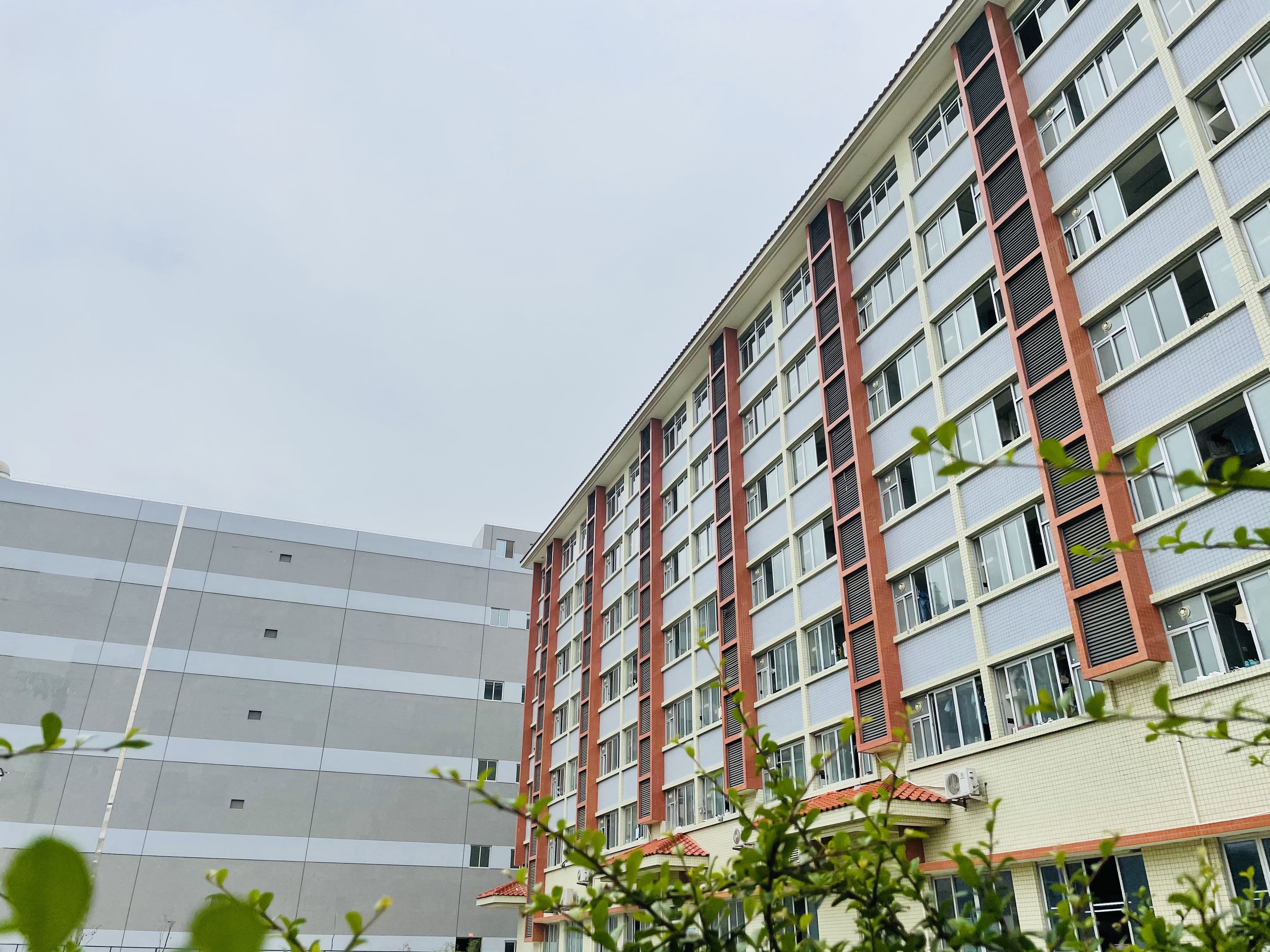 进厂打工临时工,找工厂做临时工怎么找