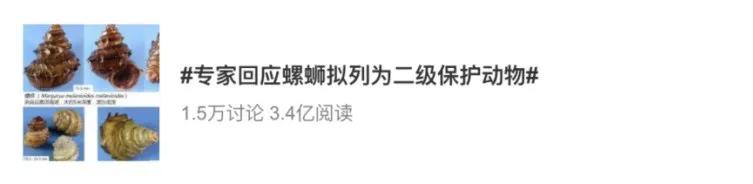 最正宗的广西螺蛳粉推荐,为什么螺蛳粉老被叫做广西螺蛳粉