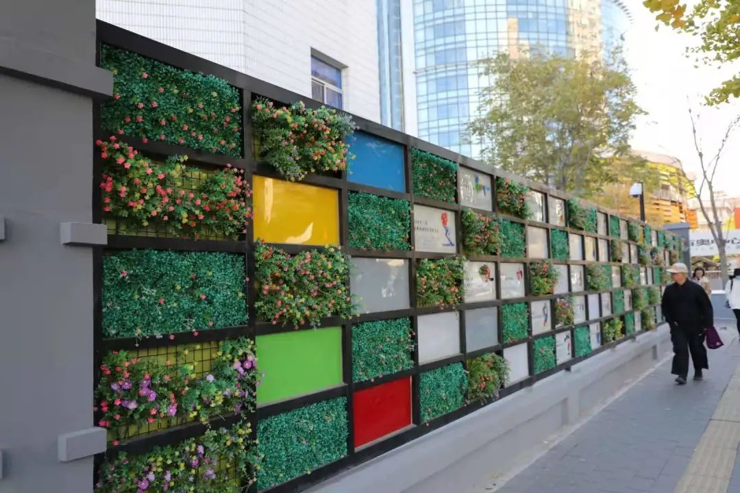 朝阳街巷遇见美好