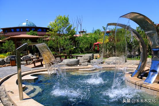 南方的孩儿爱上北方的海