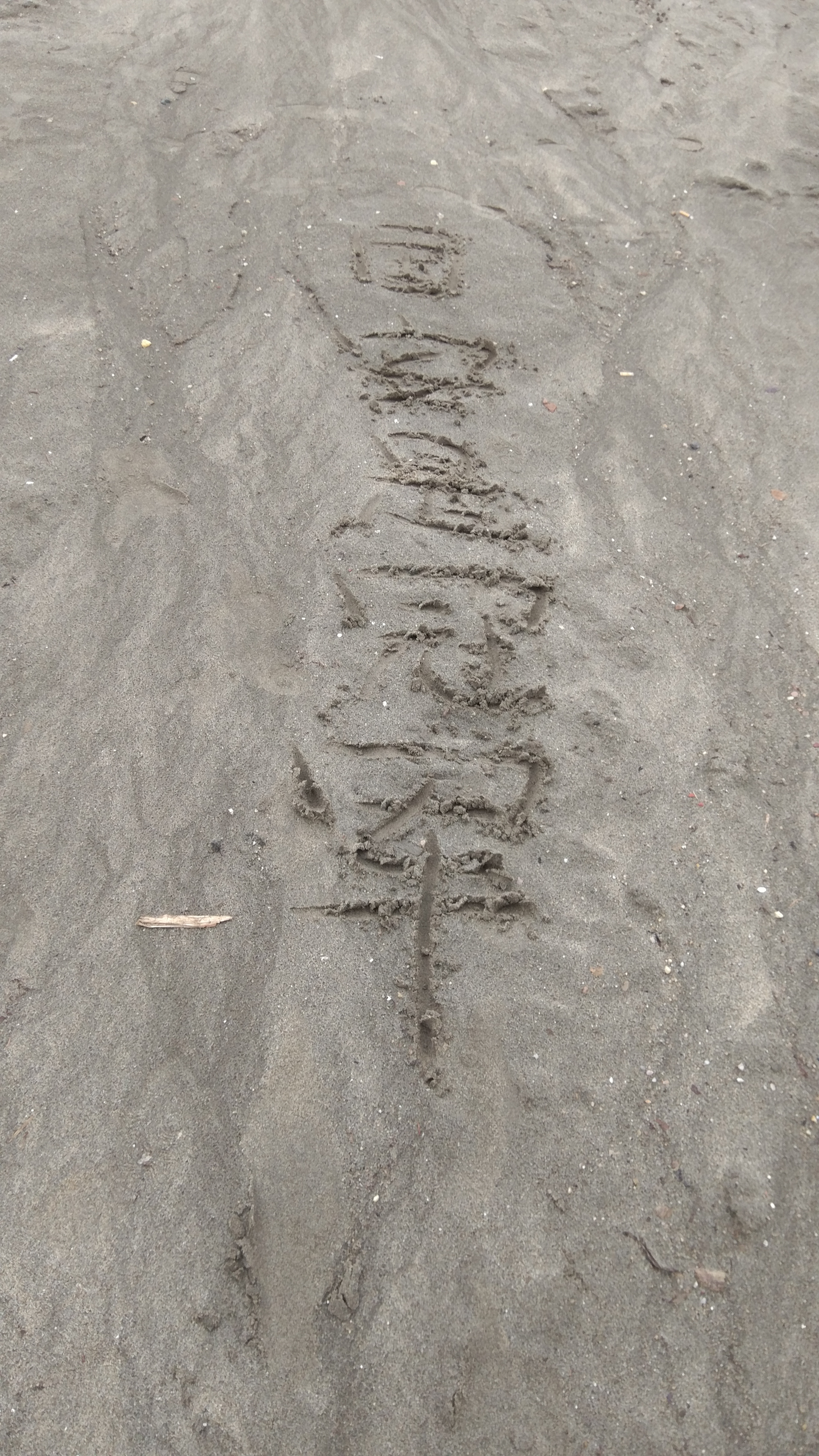 从没球打，到没工作：一个体育人的“非常时期”