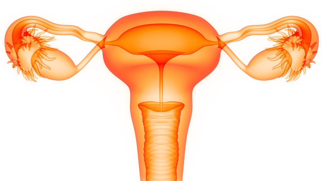 先天性无子宫治疗方案,女性先天无子宫无阴道的前期症状