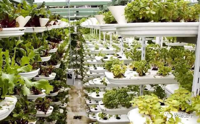 特点集装箱农场,集装箱打造农场建筑