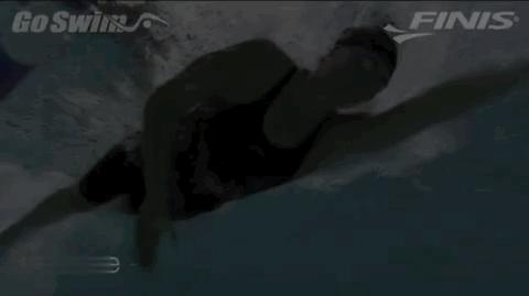 两分钟教会自由泳划水技巧,自由泳划水小技巧图解