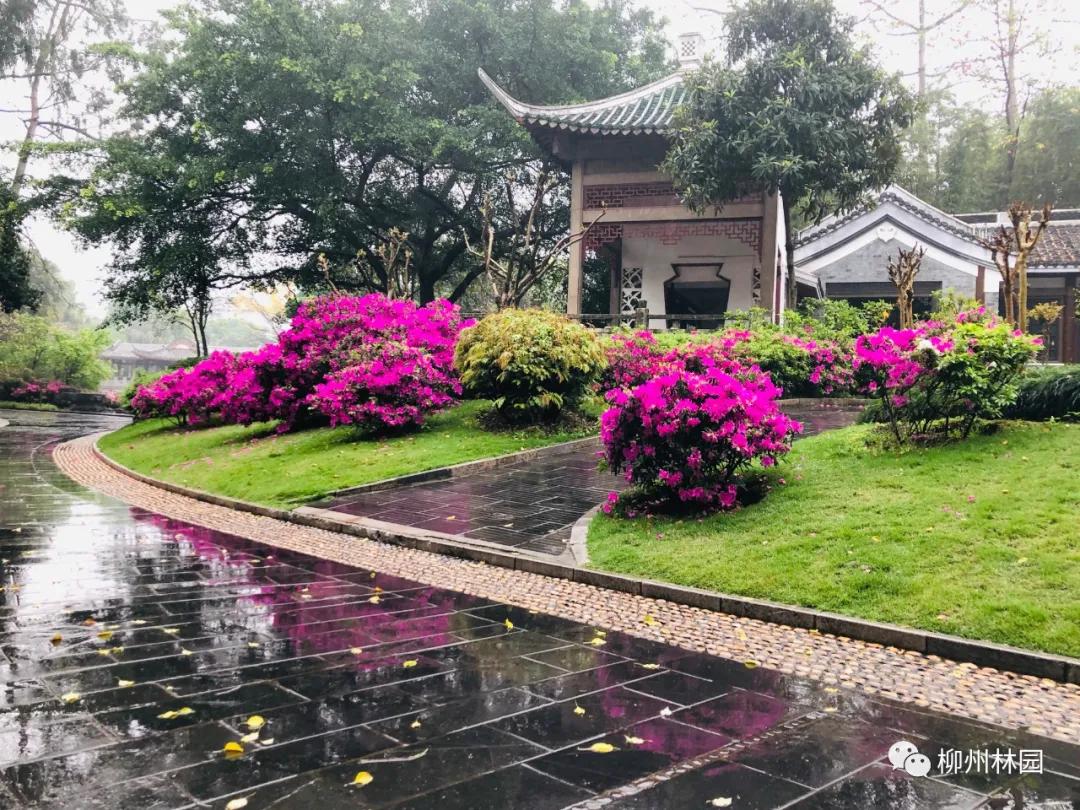 柳州柳侯公园有什么景物,柳州柳侯公园值得打卡