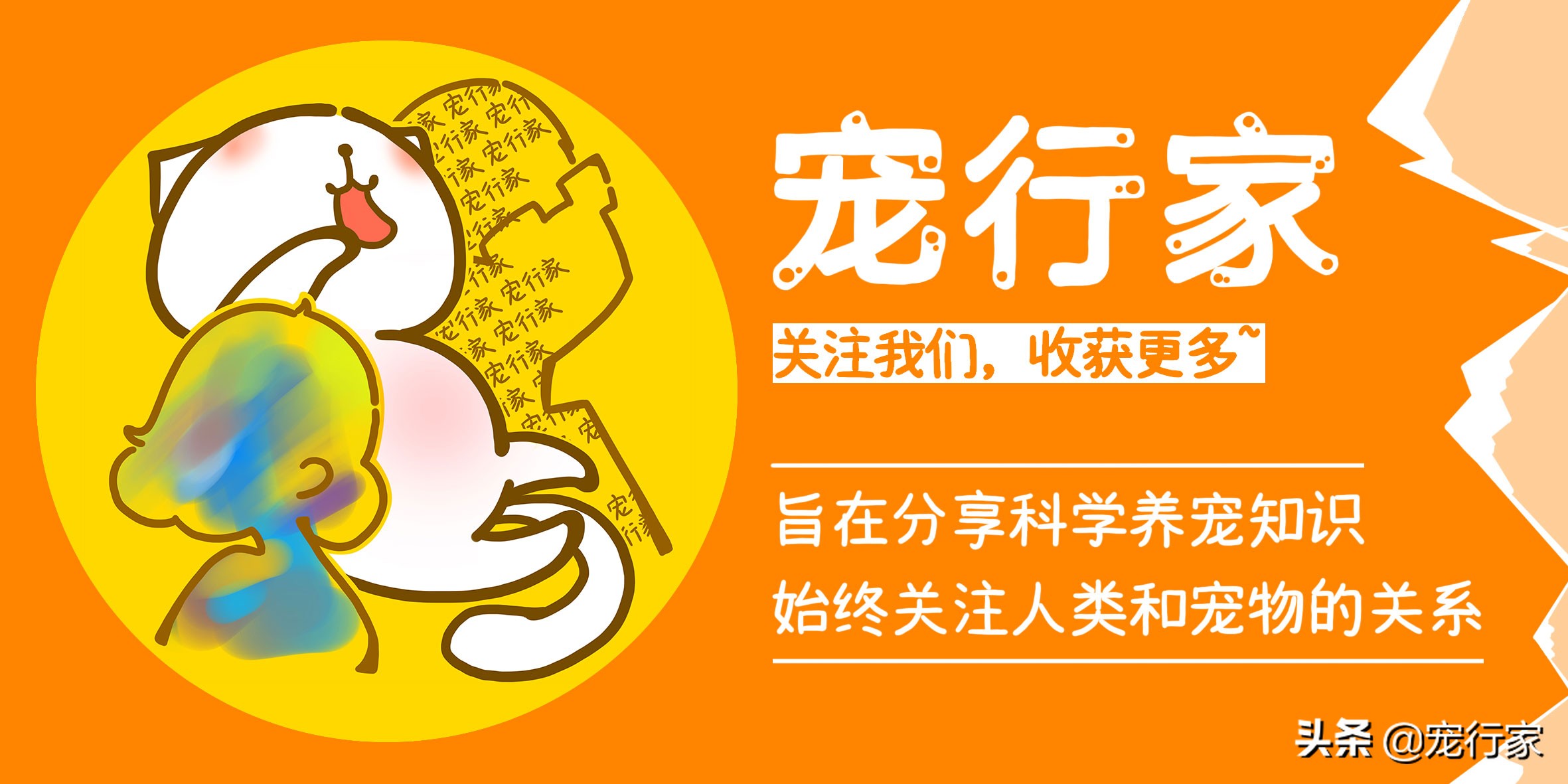 第一次养狗坚持不下去了,养狗养到想放弃狗怎么办