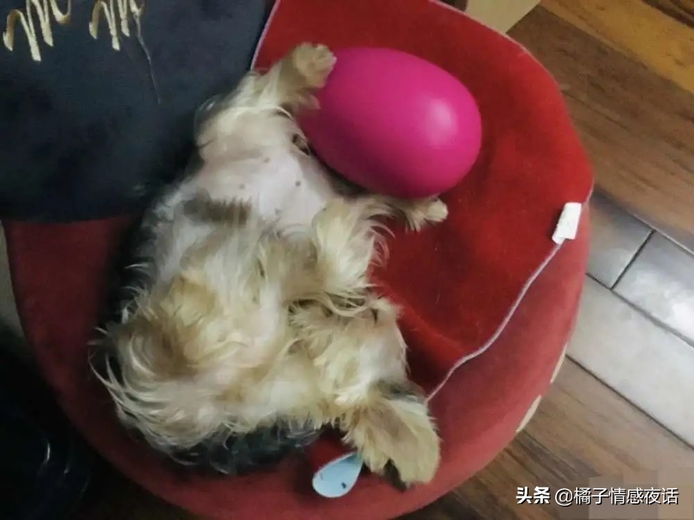 嫁入豪门郭碧婷向佐片段,郭碧婷婚前婚后的眼神变化