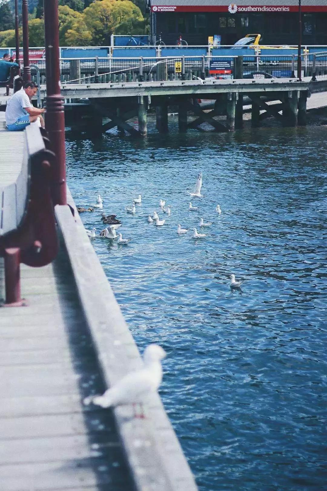 新西兰南太平洋明珠,新西兰太平洋的明珠