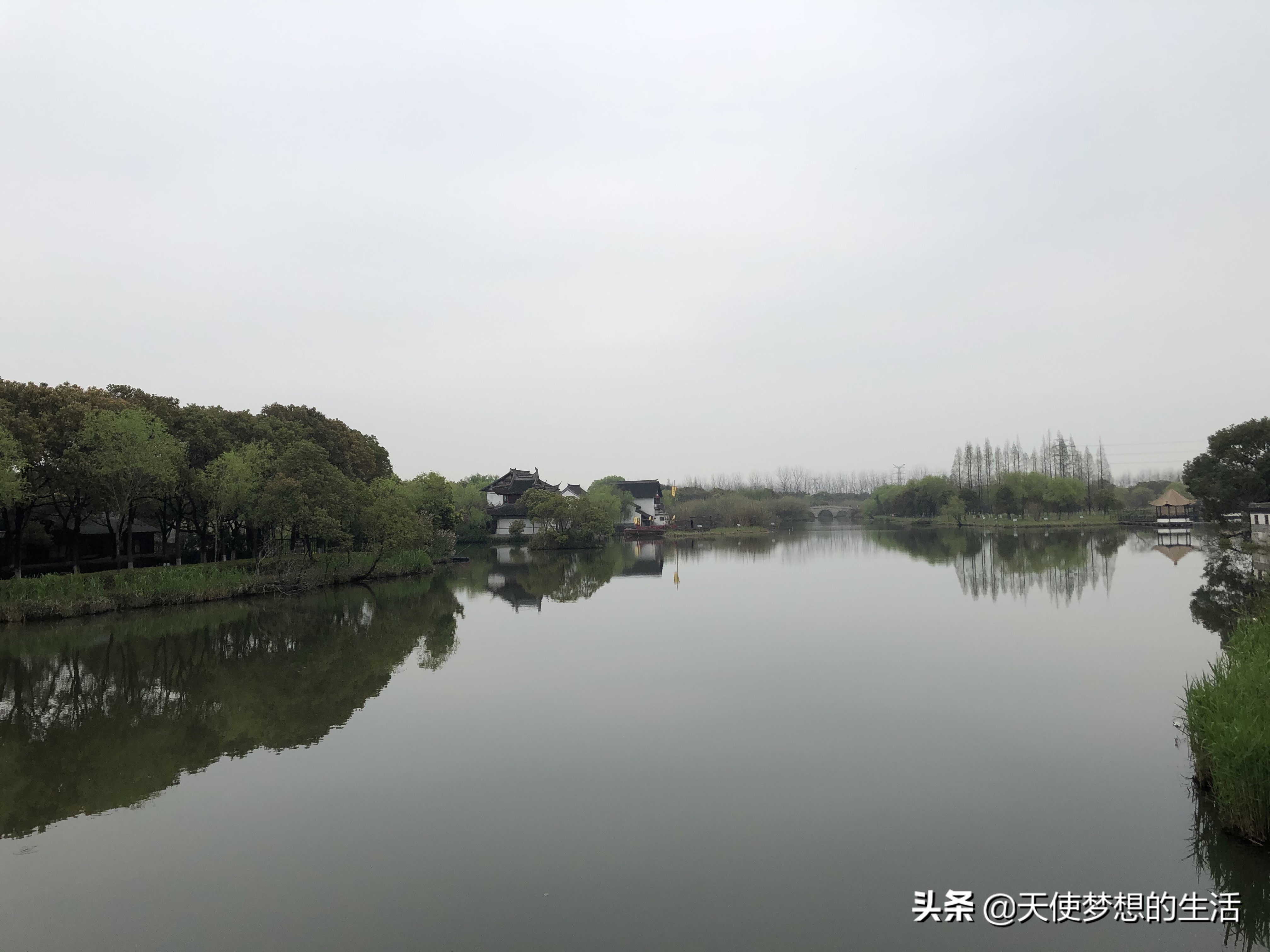 苏州常熟沙家浜有什么好玩的,常熟沙家浜芦苇荡