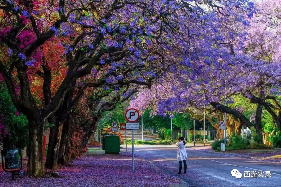 倒计时《流浪地球》,《流浪地球》二极简版