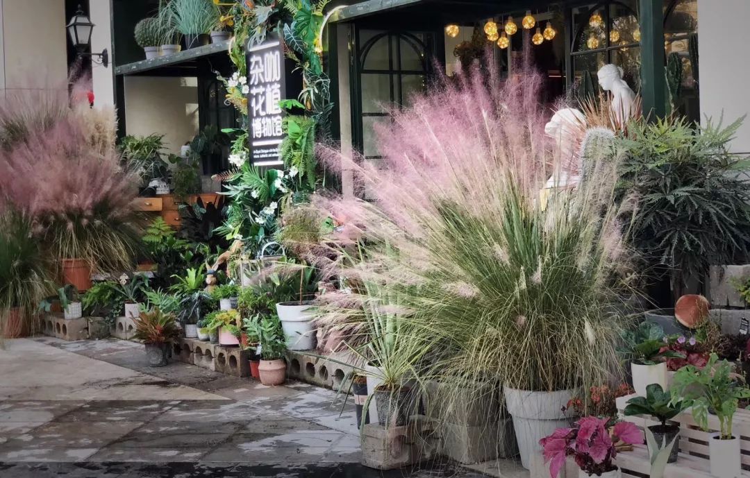 爆改废弃工厂，看三个姑娘如何施展植物魔法