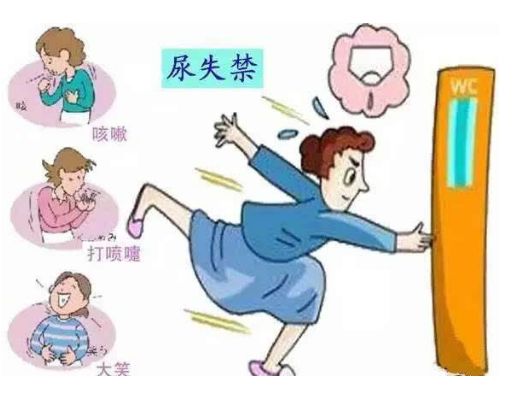 女性尿*禁失**等“难言之隐”和它有关，年轻时就要预防