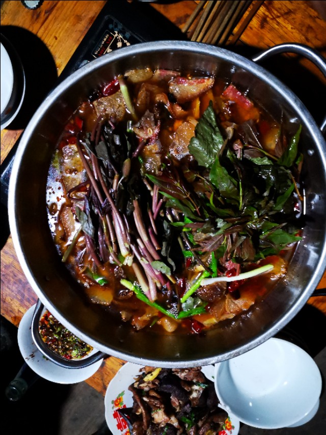 红叶鸭跖草,红叶苋菜补血吗