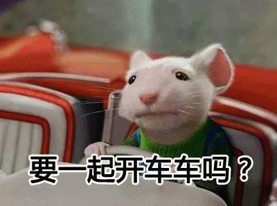 域名是啥？乔碧萝，冯提莫.com被挂出来卖