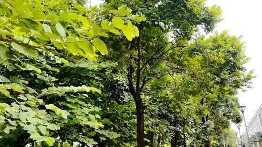 体验度假式甩肉，科学享瘦，7天秒变男神收割机