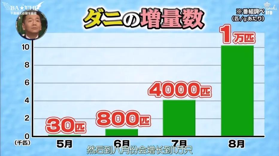 秋天螨虫怎么消灭才能彻底除根,头上有螨虫应该怎样正确除螨呢
