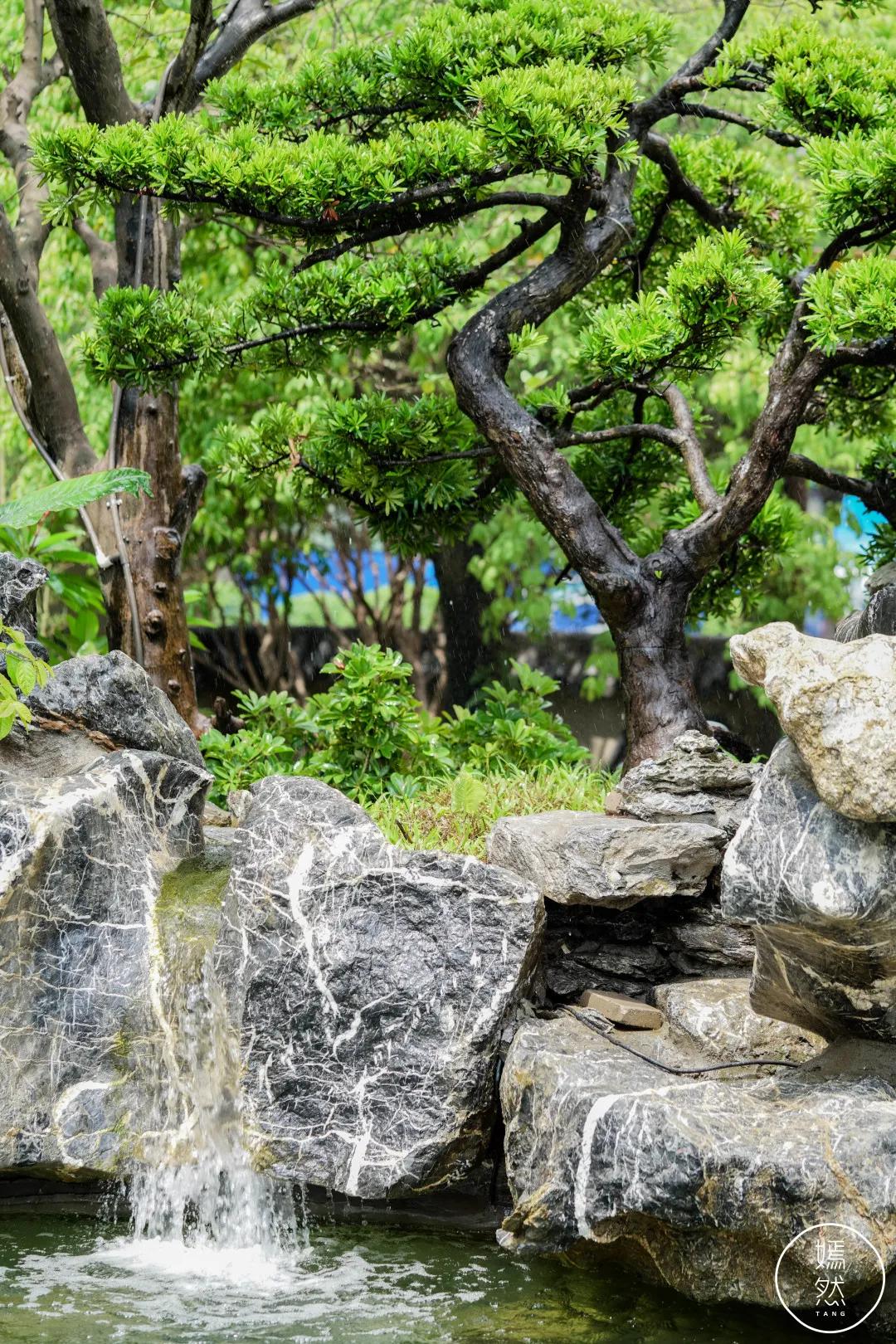 东莞水濂山园林,东莞水濂山湖面风景