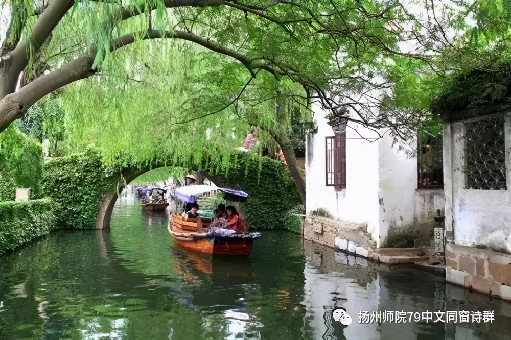 【老师去了，我每年来摩挲老师家的杨柳】