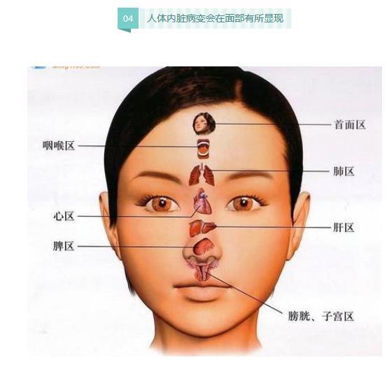 衡水正元中医医院卫生科普：内脏里缺啥，脸上就长啥