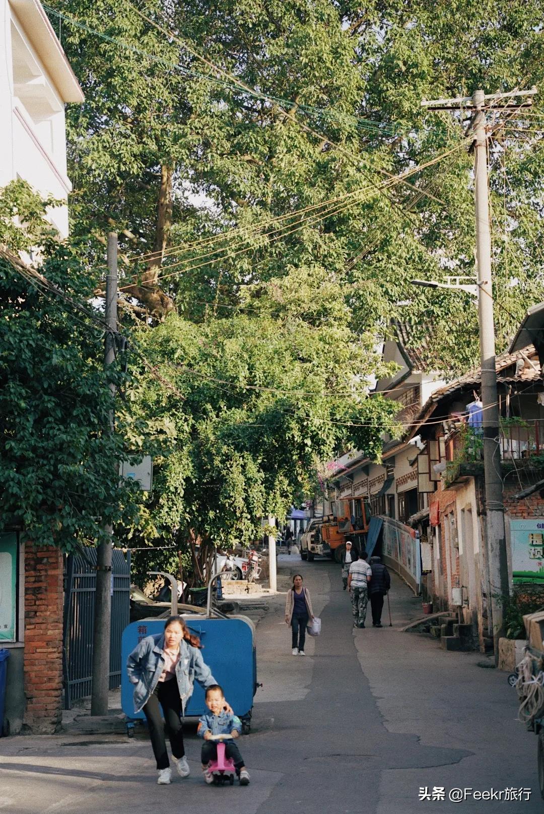 被刘昊然种草的云南小城，全网0攻略，我们花不到2k就逛吃6天