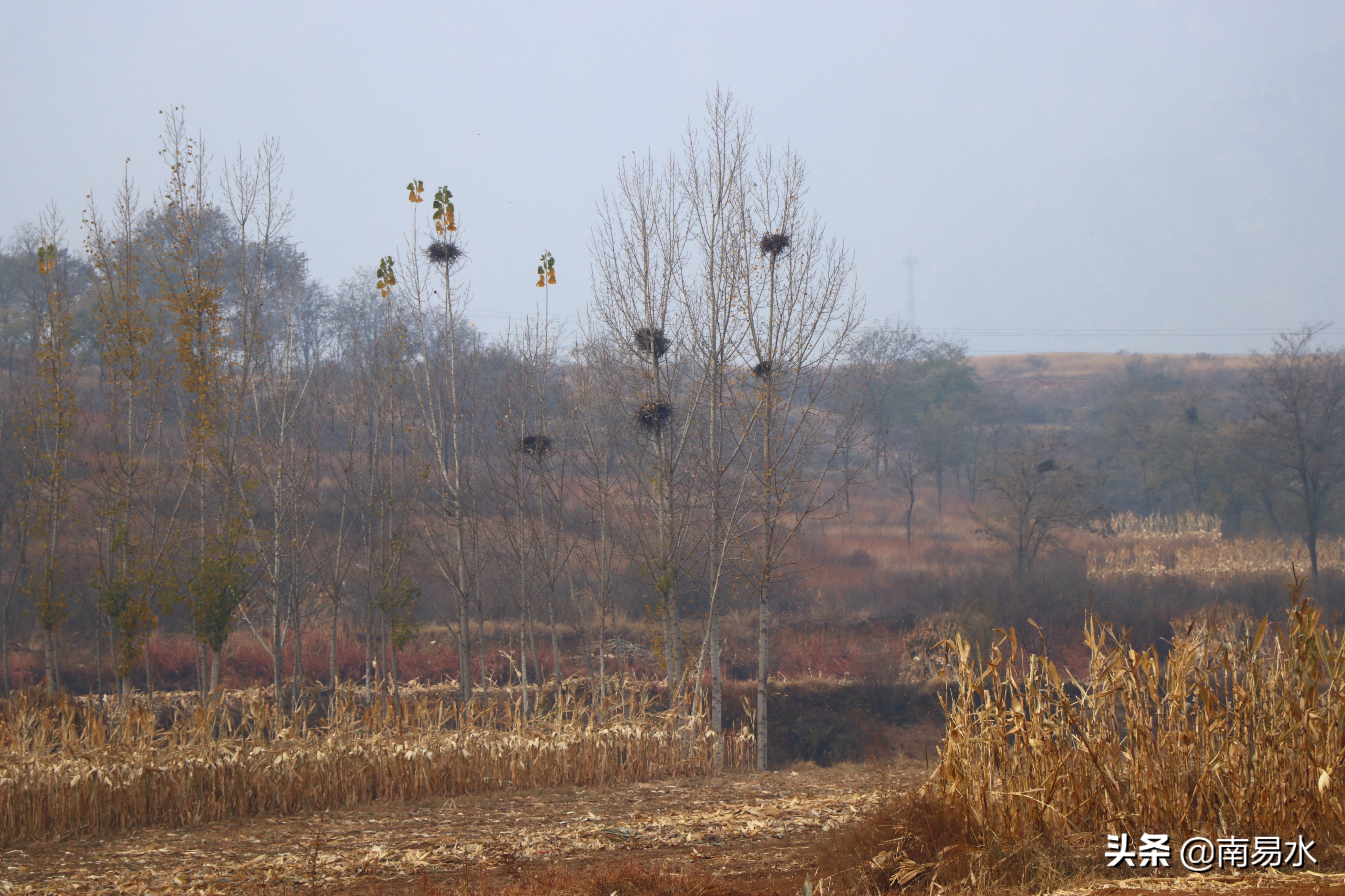 家乡风景带你一起感受自然的味道,令你难以忘怀的家乡的味道