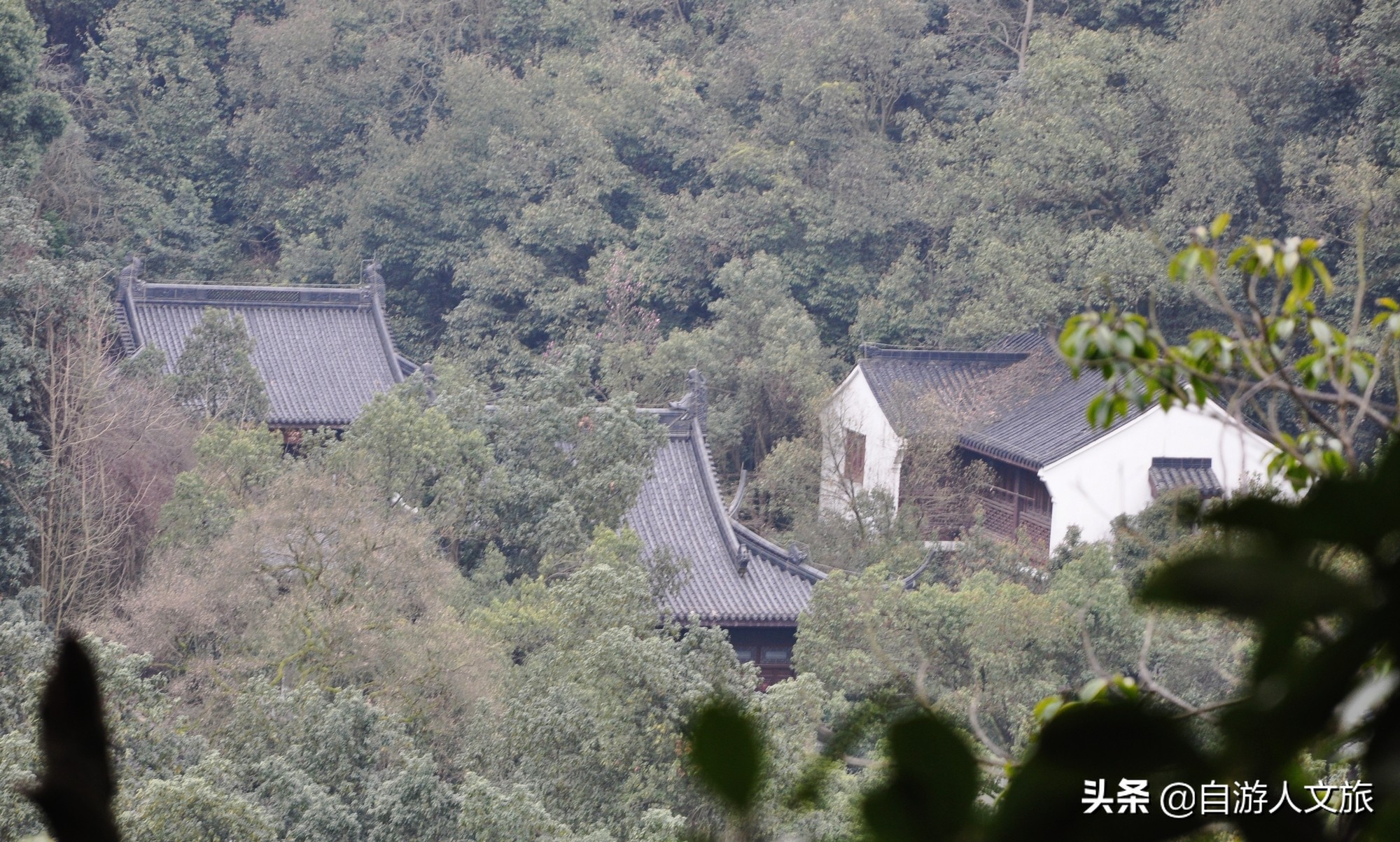 环西湖群山徒步毅行,行走西湖古诗词